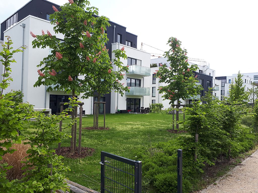 20190510_160942_1024_768.jpg