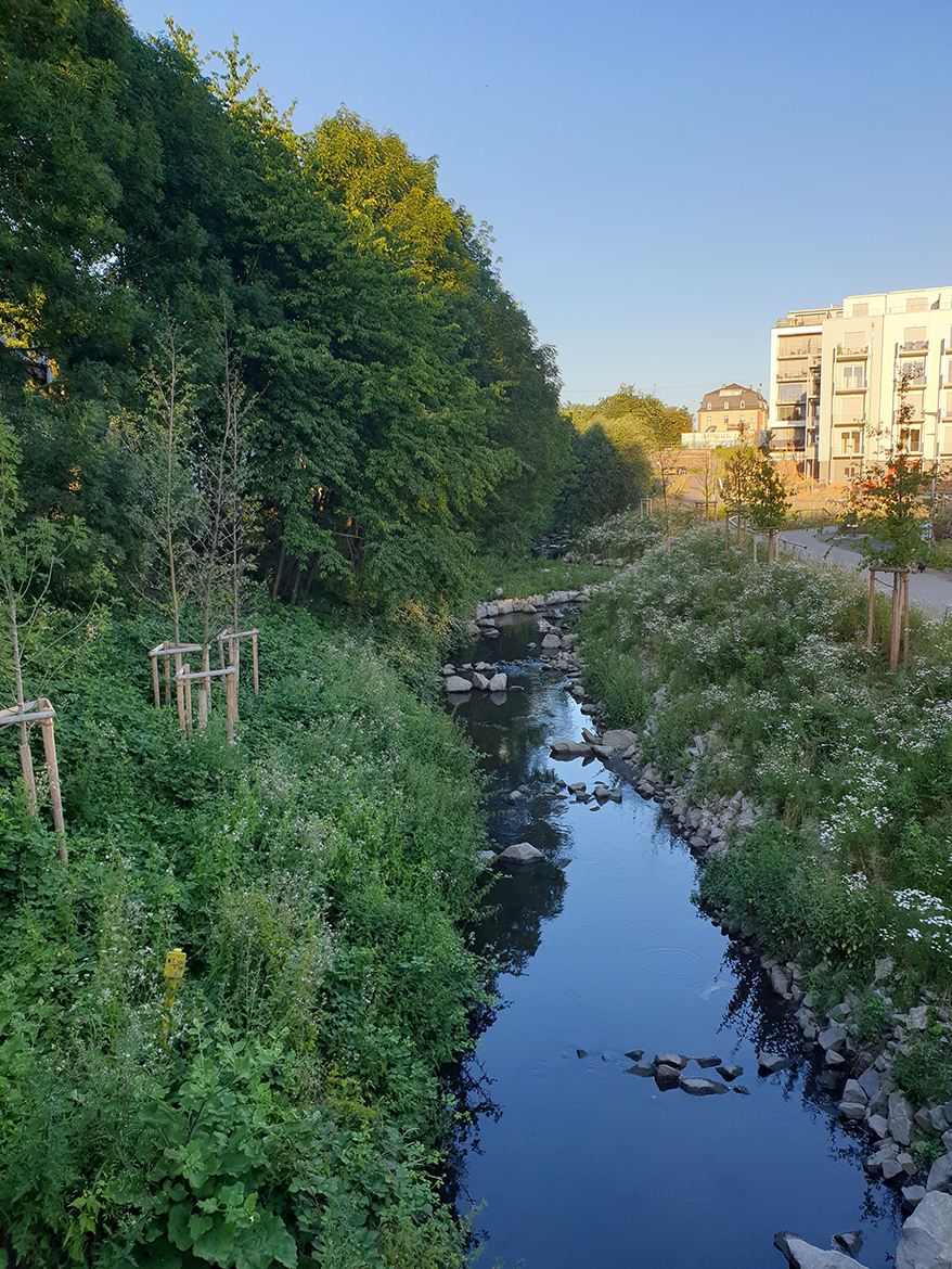 20190627_204325.jpg
